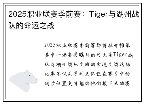 2025职业联赛季前赛：Tiger与湖州战队的命运之战
